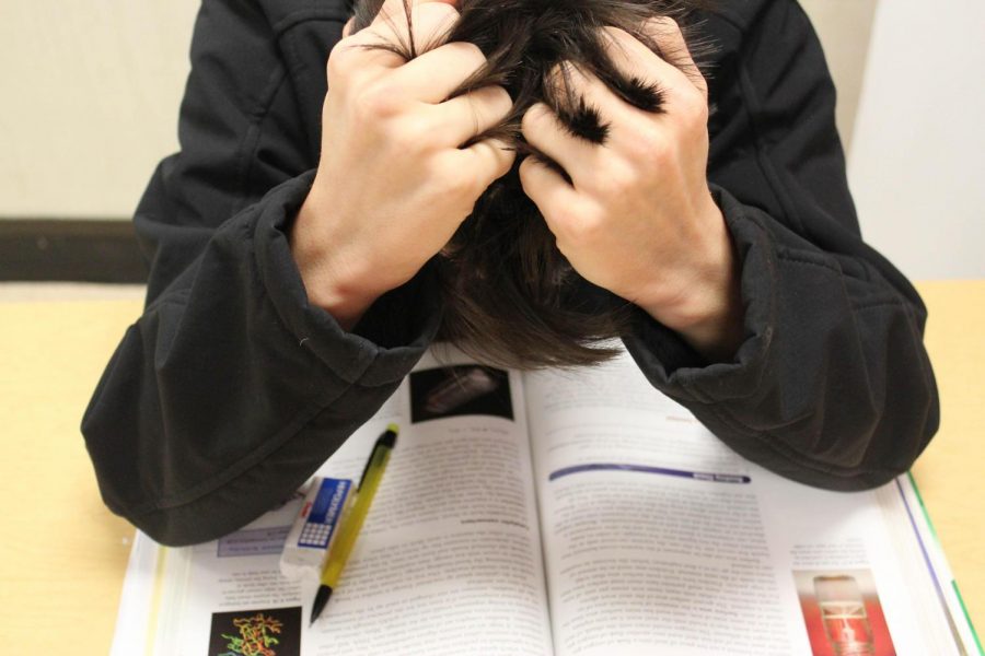 A teen holds his head in frustration over his homework