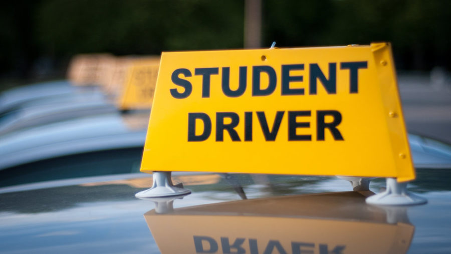 Student+driver+sign